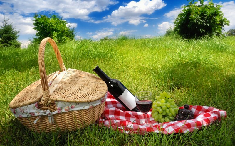 Picnic Basket in Grass