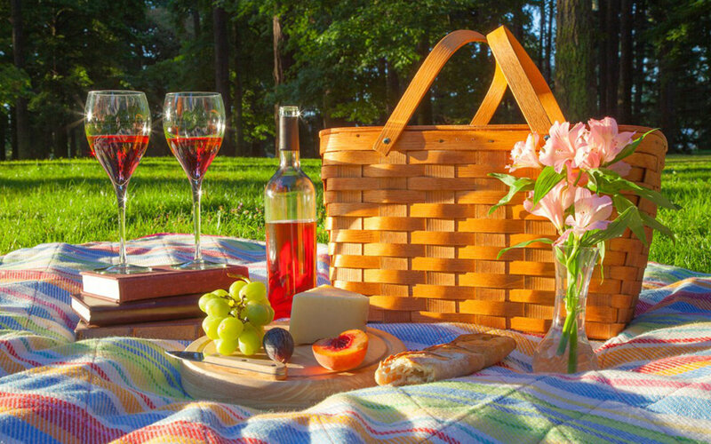 Picnic Basket on Blanket — Green, Serene