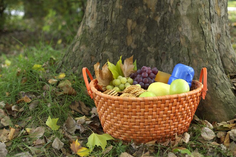Picnic basket under a tree
