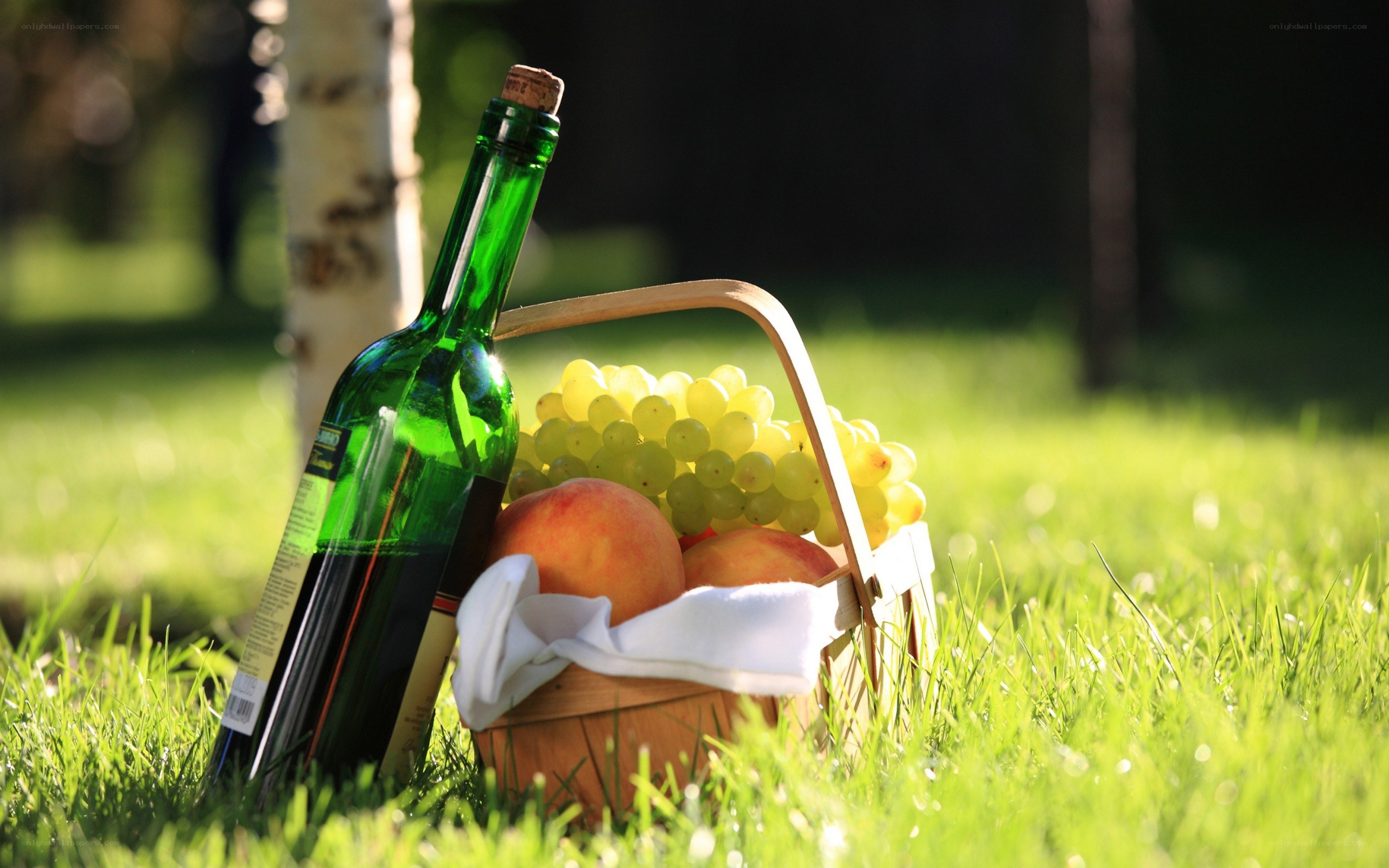 Picnic basket with wine and fruit