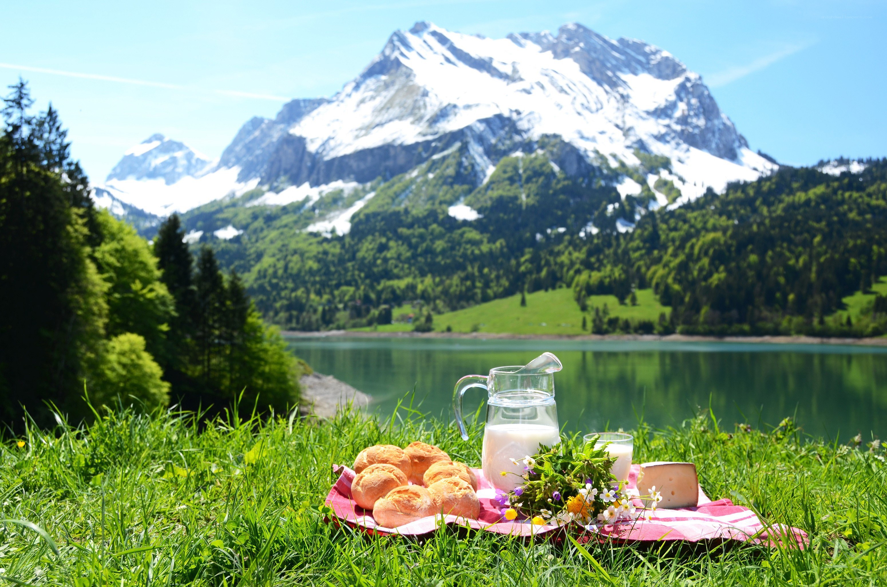 Picnic by a mountain lake