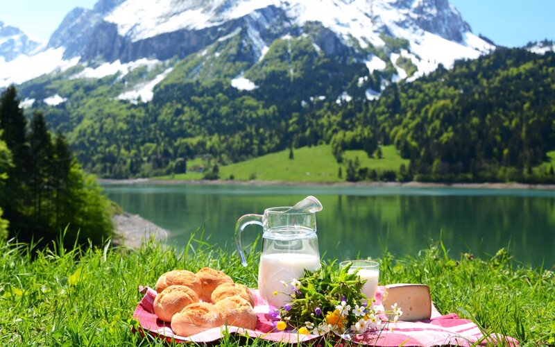 Picnic by Lake — Green