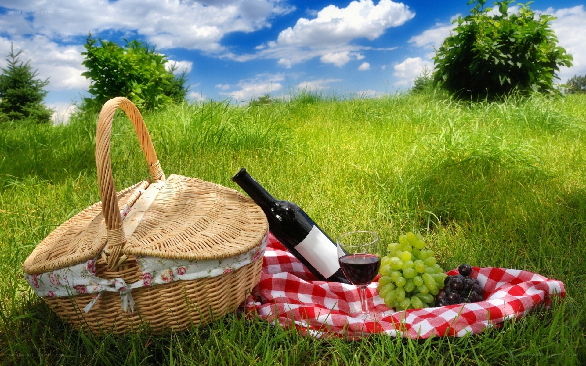 Picnic in a sunny field
