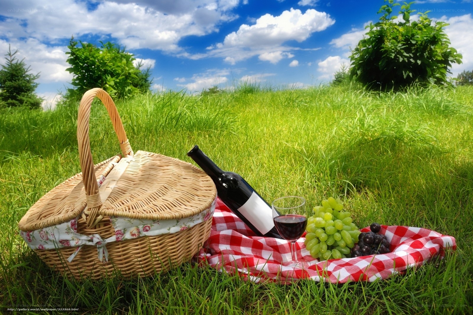 Picnic in a sunny field