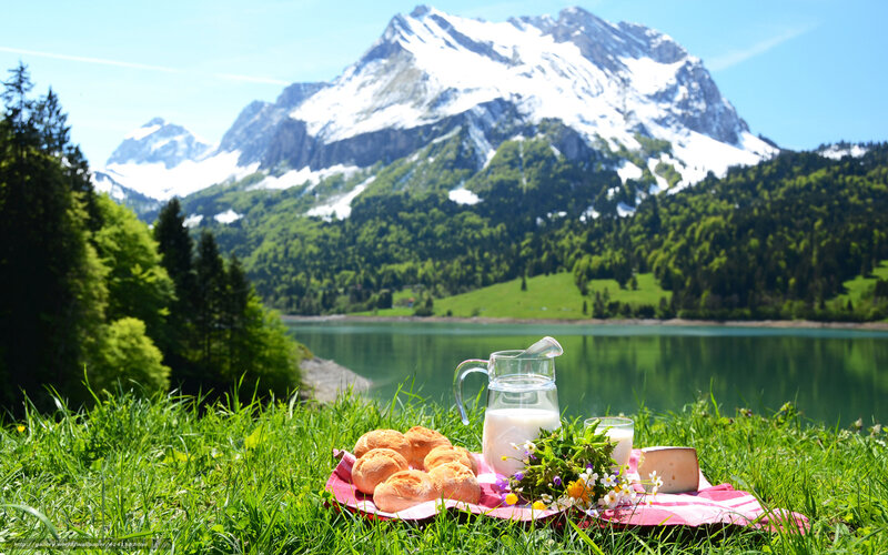 Picnic on Grass