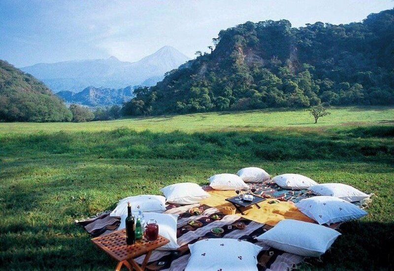 Picnic Setup in Field