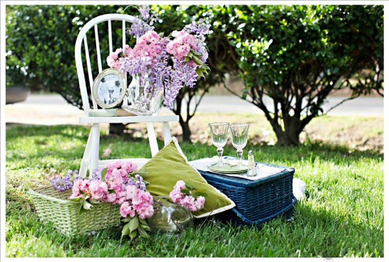 Picnic Setup on Grass — Green