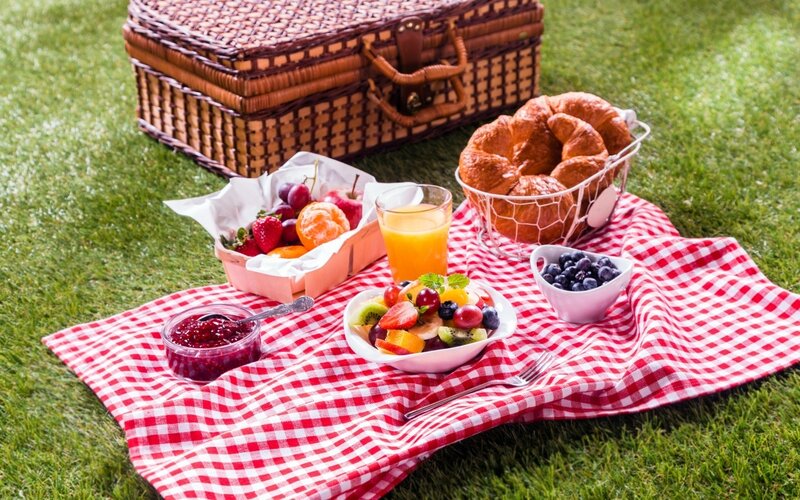 Picnic Setup on Grass — Red