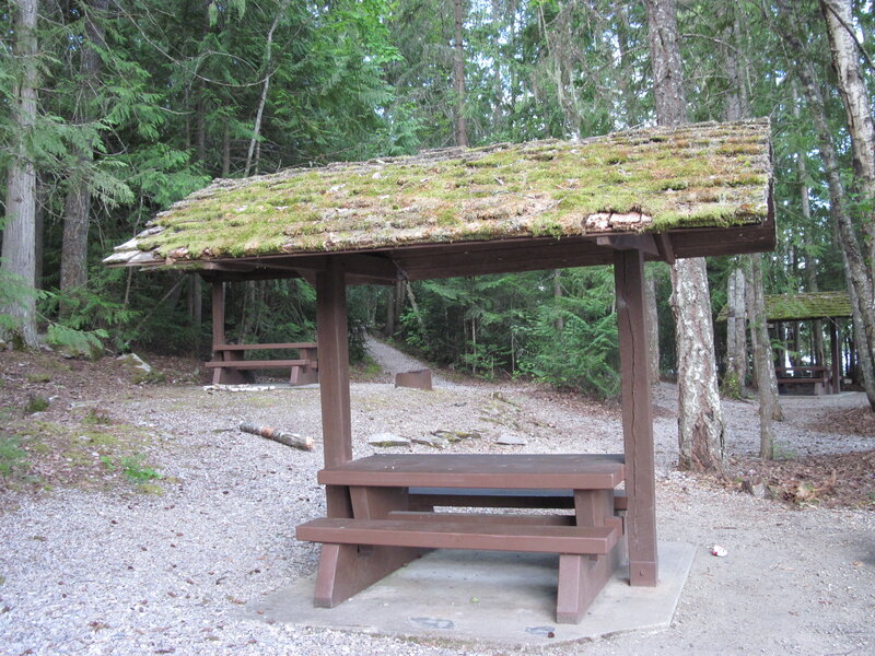 Picnic Shelter in Forest