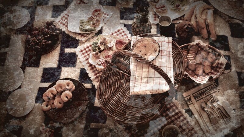 Picnic Spread on Blanket — Brown