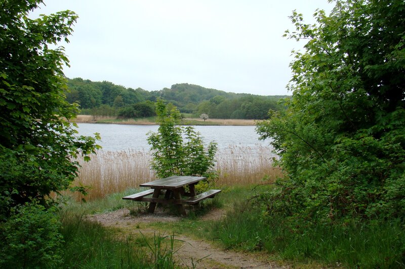 Picnic table by a lake