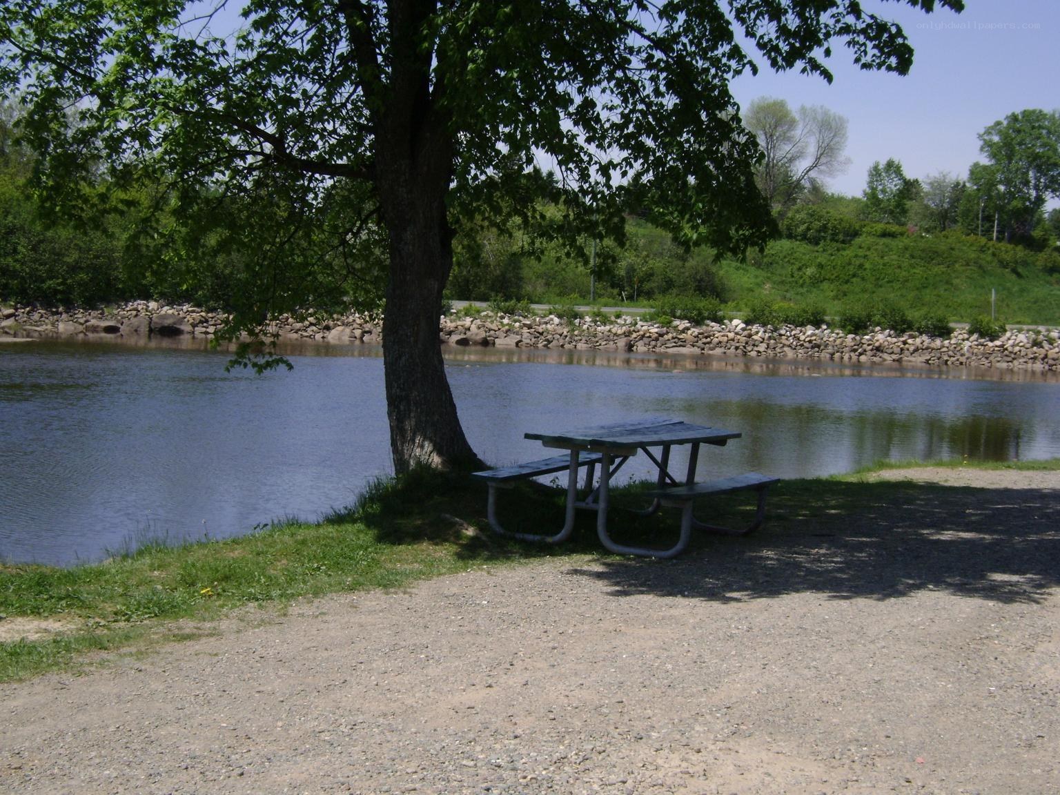 Picnic table by a lake