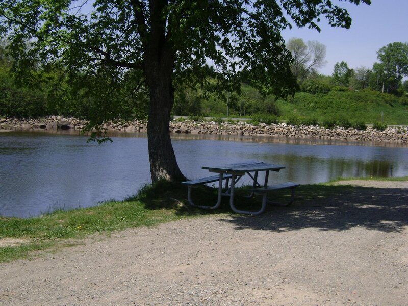 Picnic Table by Lake — Green, Serene, Afternoon, Photograph, Tree