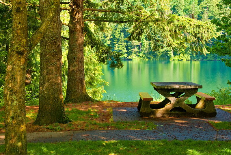 Picnic Table by Lake — Green, Serene, Afternoon