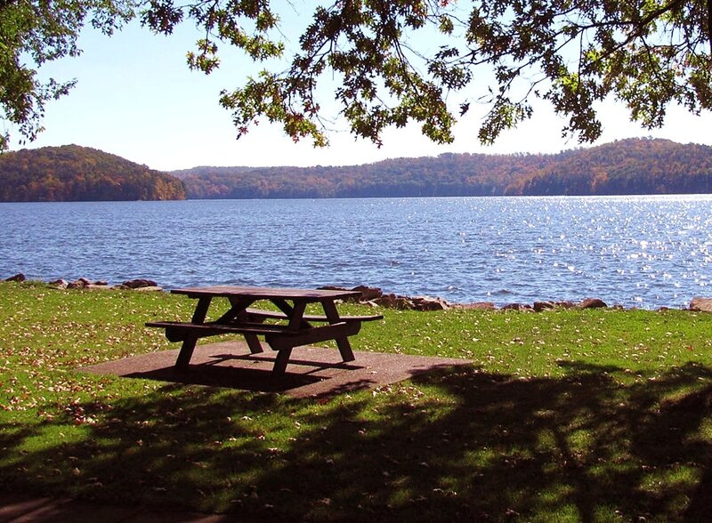 Picnic Table by Lake — Green, Serene