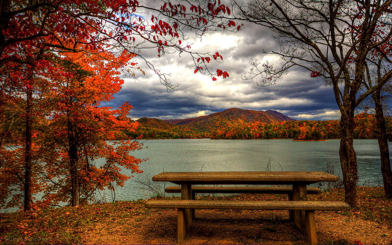 Picnic Table by Lake — Red