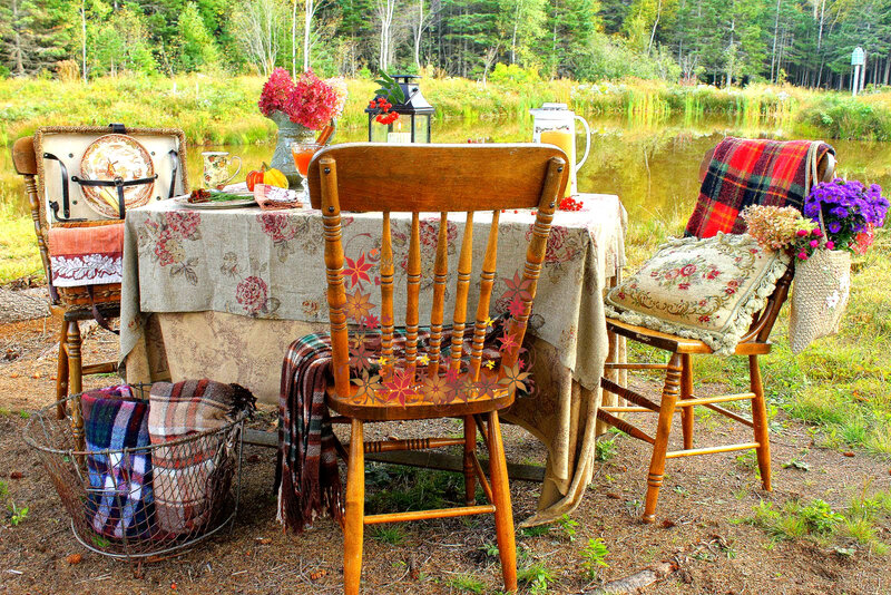 Picnic Table by Pond — Brown