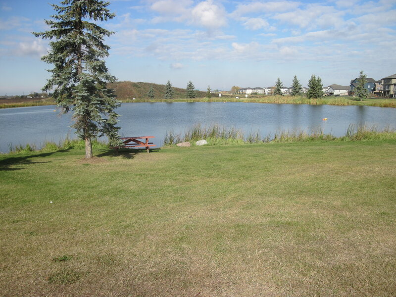 Picnic Table by Pond — Green