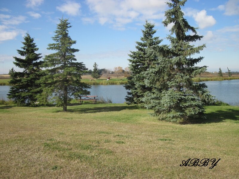 Picnic Table by Pond