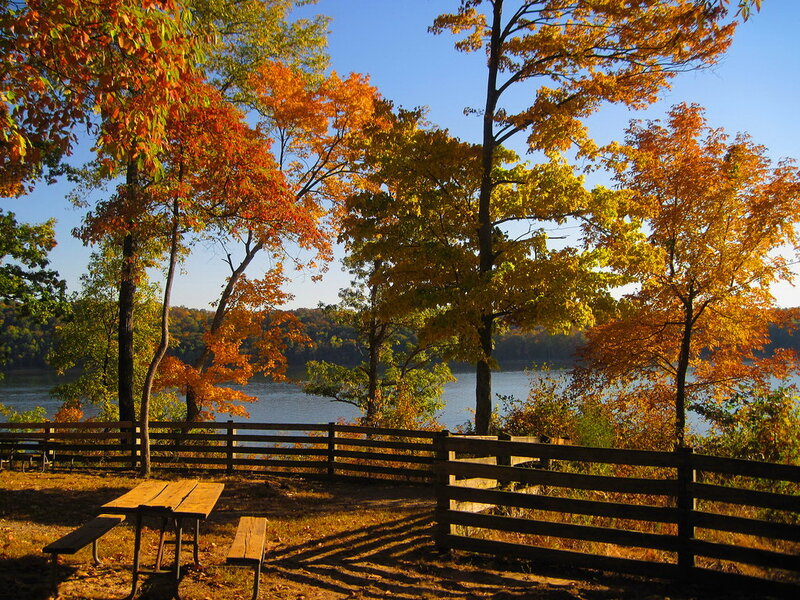 Picnic Table by River