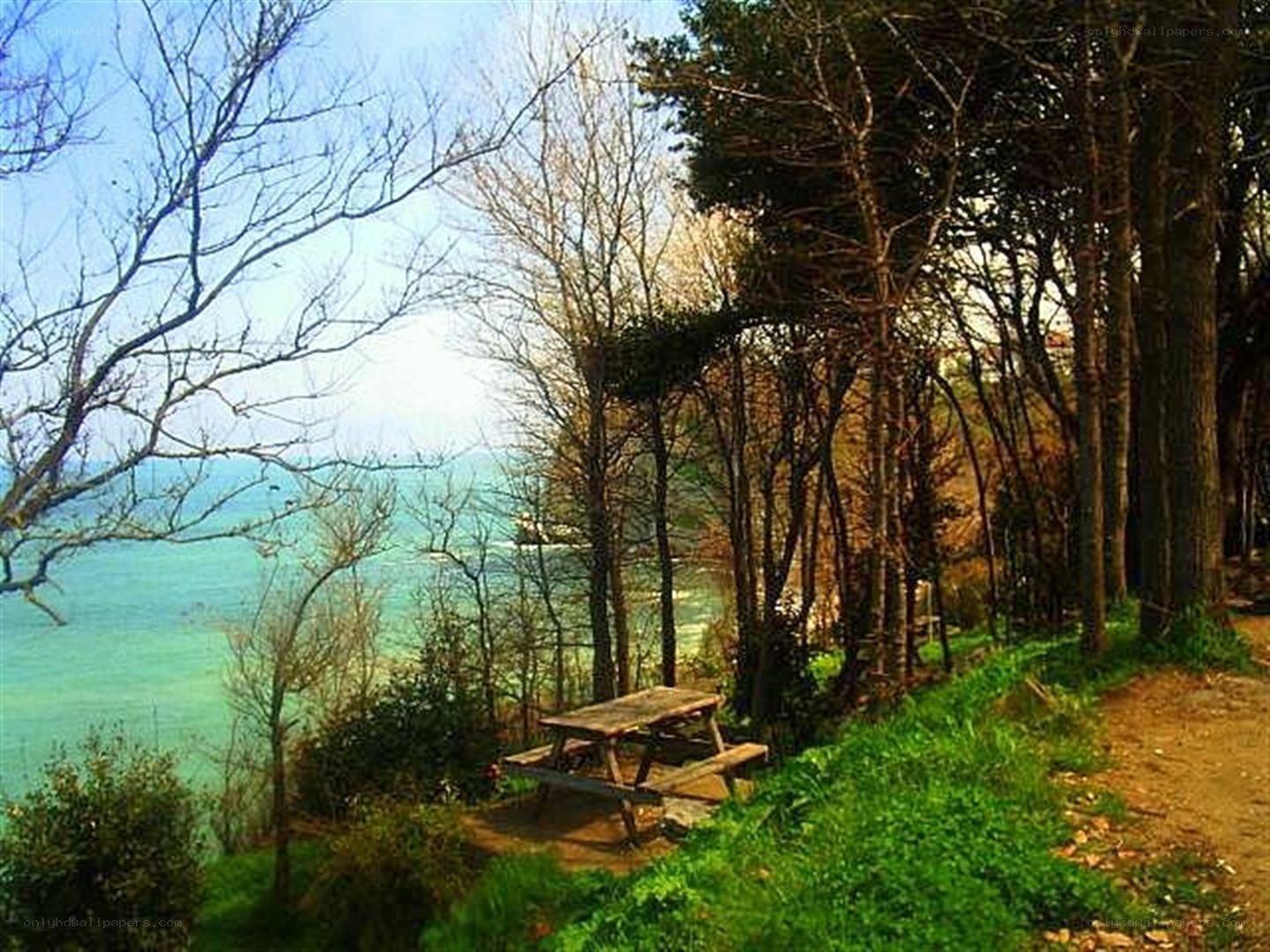 Picnic table by the sea