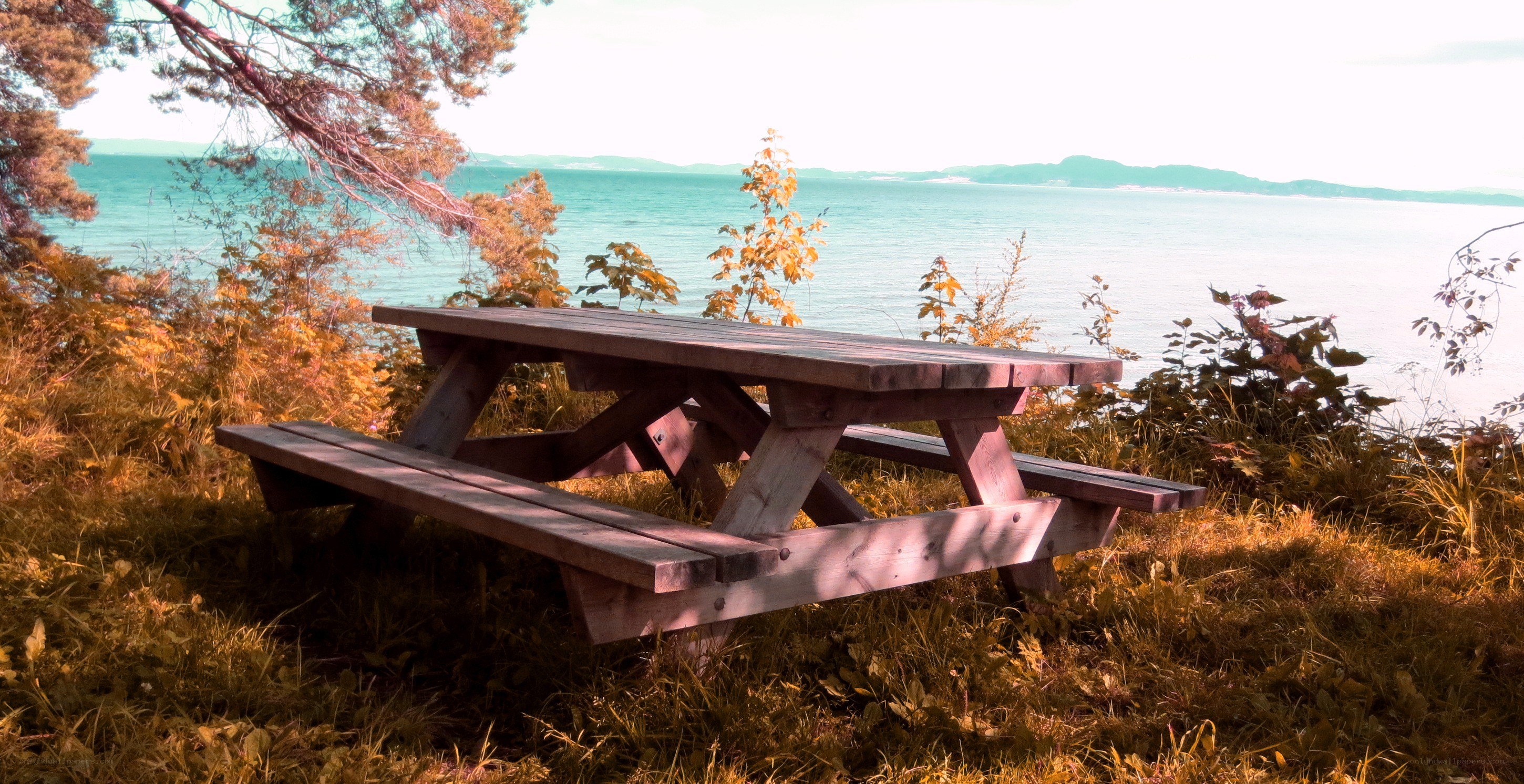 Picnic table by the water