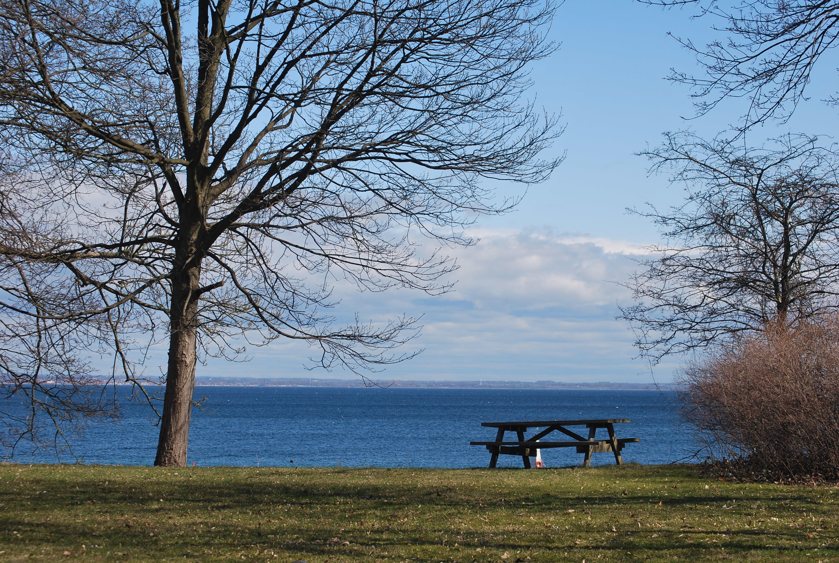 Picnic table by the water