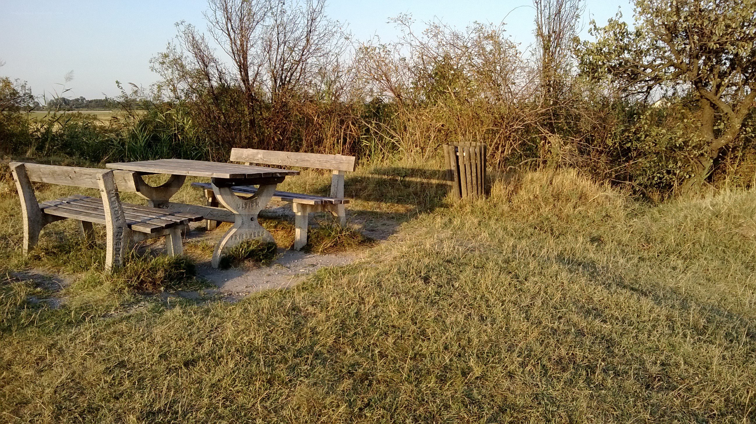 Picnic table in a grassy field