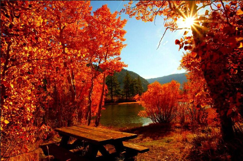 Picnic Table in Autumn — Orange