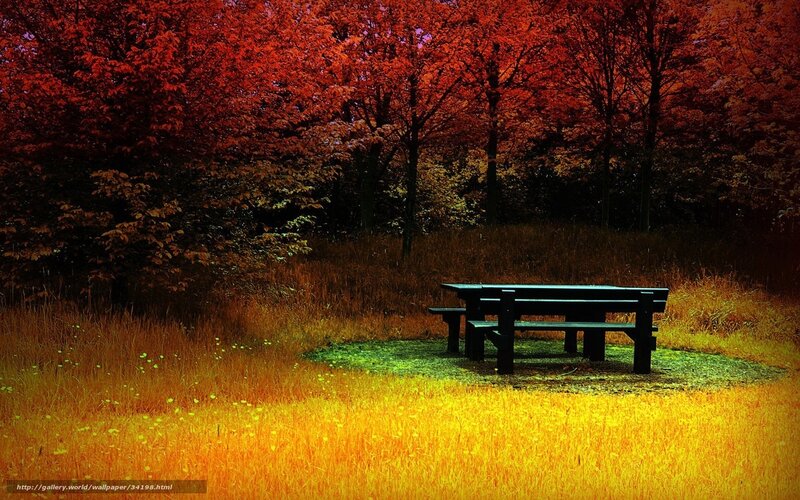 Picnic Table in Autumn — Red