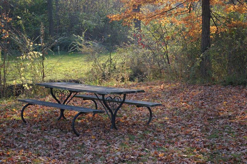 Picnic Table in Autumn