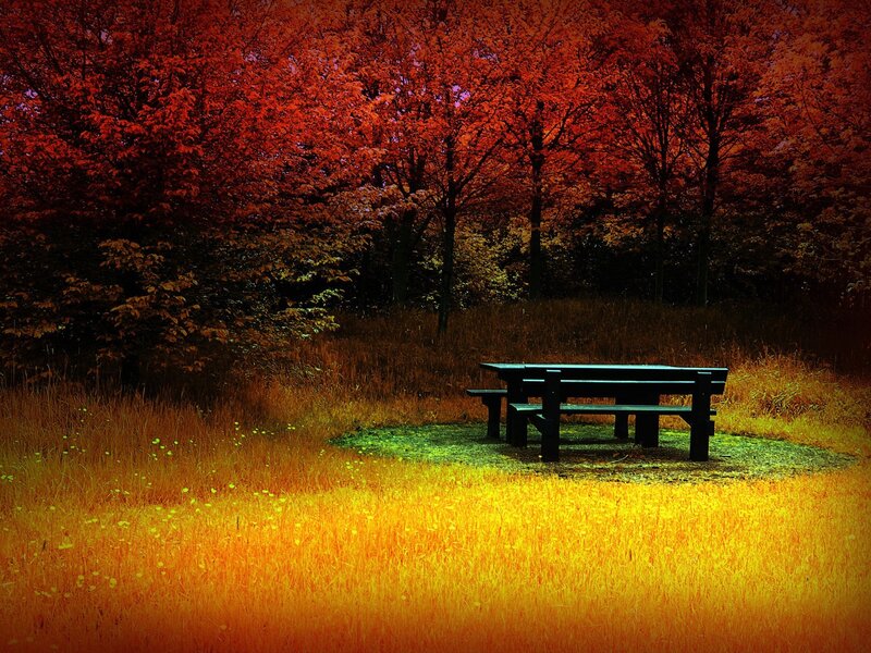 Picnic Table in Field — Red, Dramatic, Autumn, Photograph