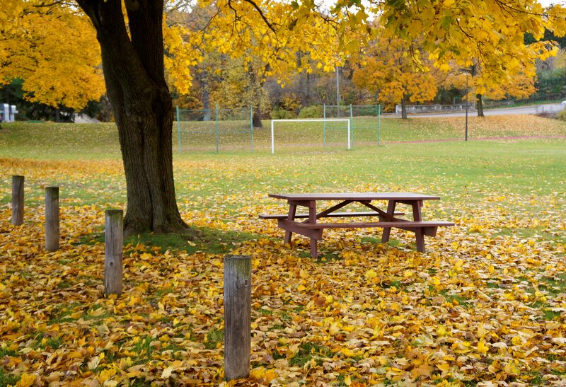Picnic Table in Park