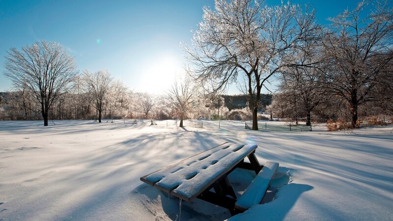 Picnic Table in Snow — White, Serene