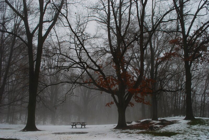 Picnic Table in Snowy Woods