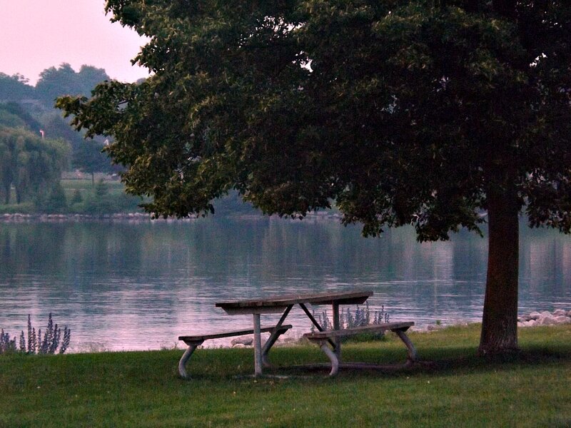 Picnic Table under Tree