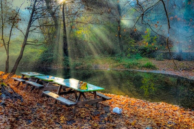 Picnic Tables by River