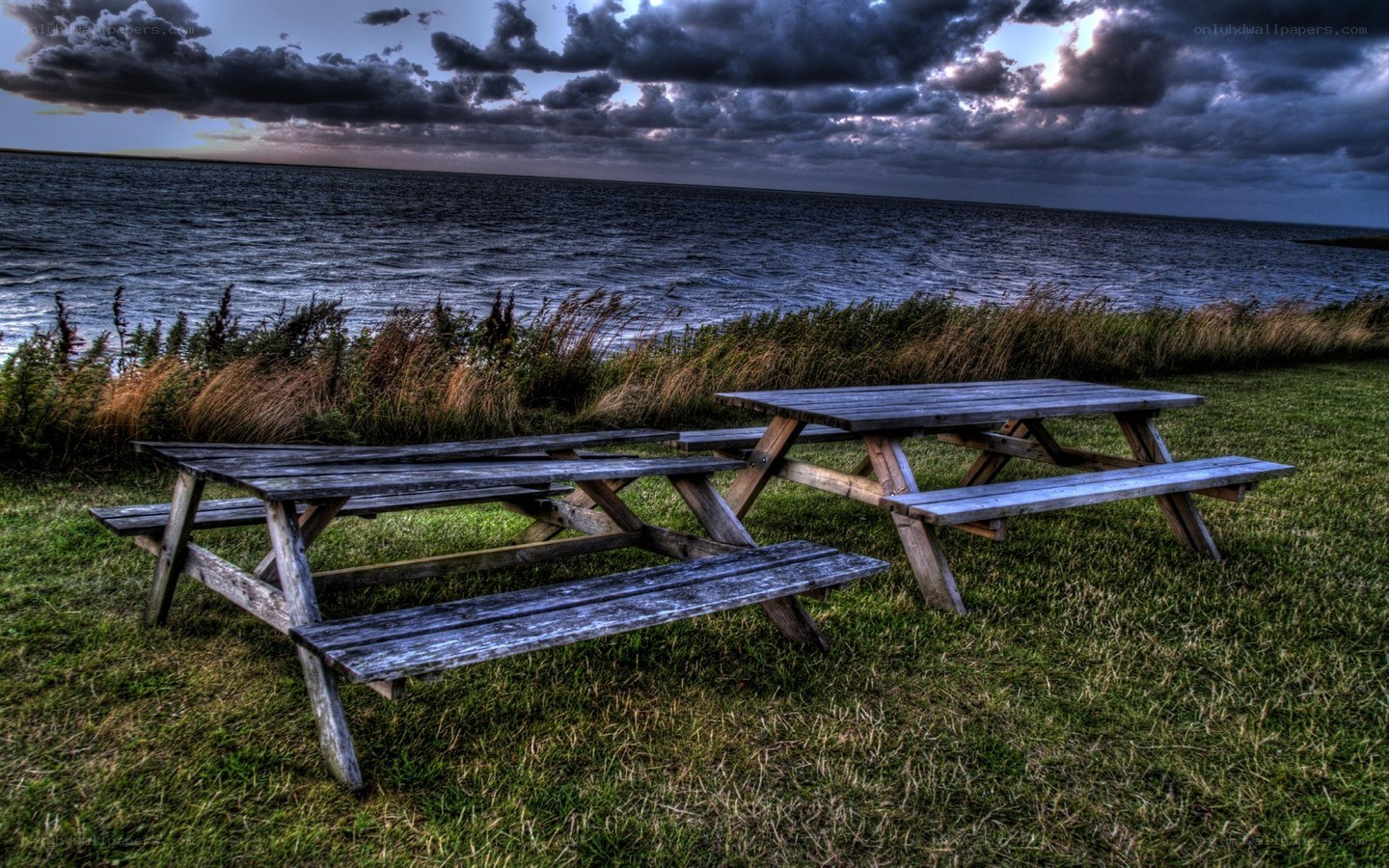 Picnic tables by the sea
