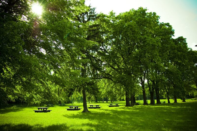 Picnic Tables in Park