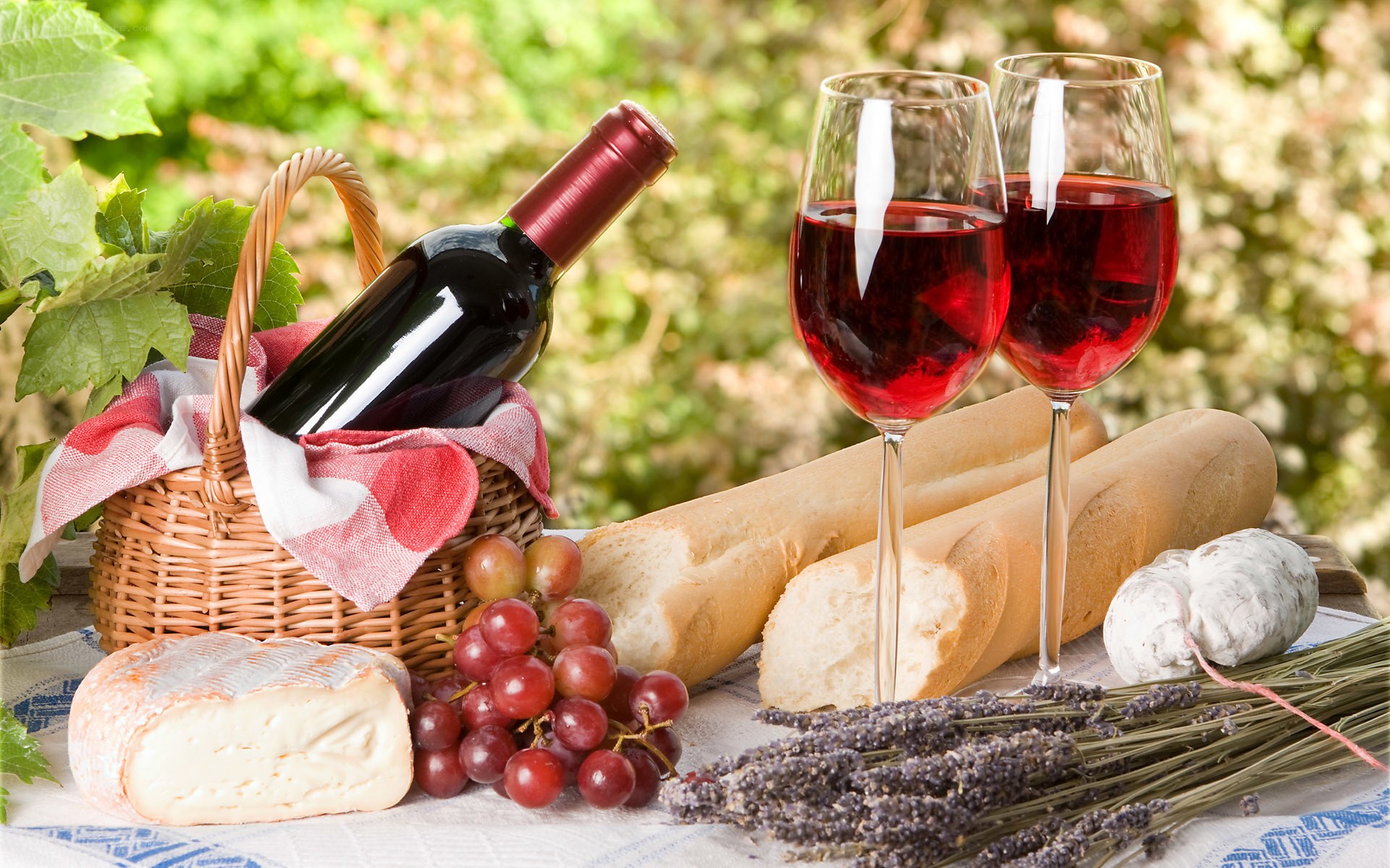 Picnic with wine and cheese