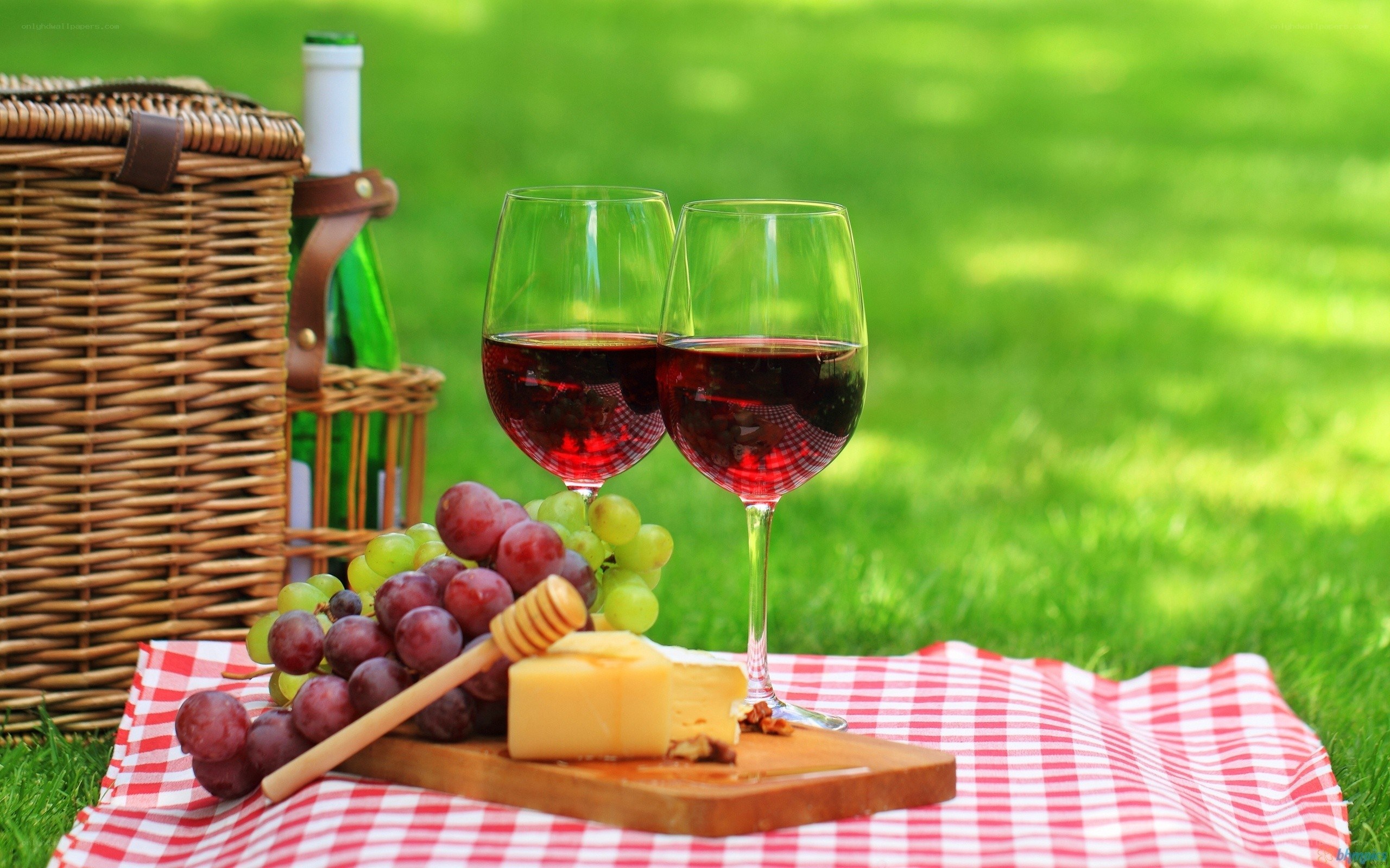 Picnic with wine and cheese