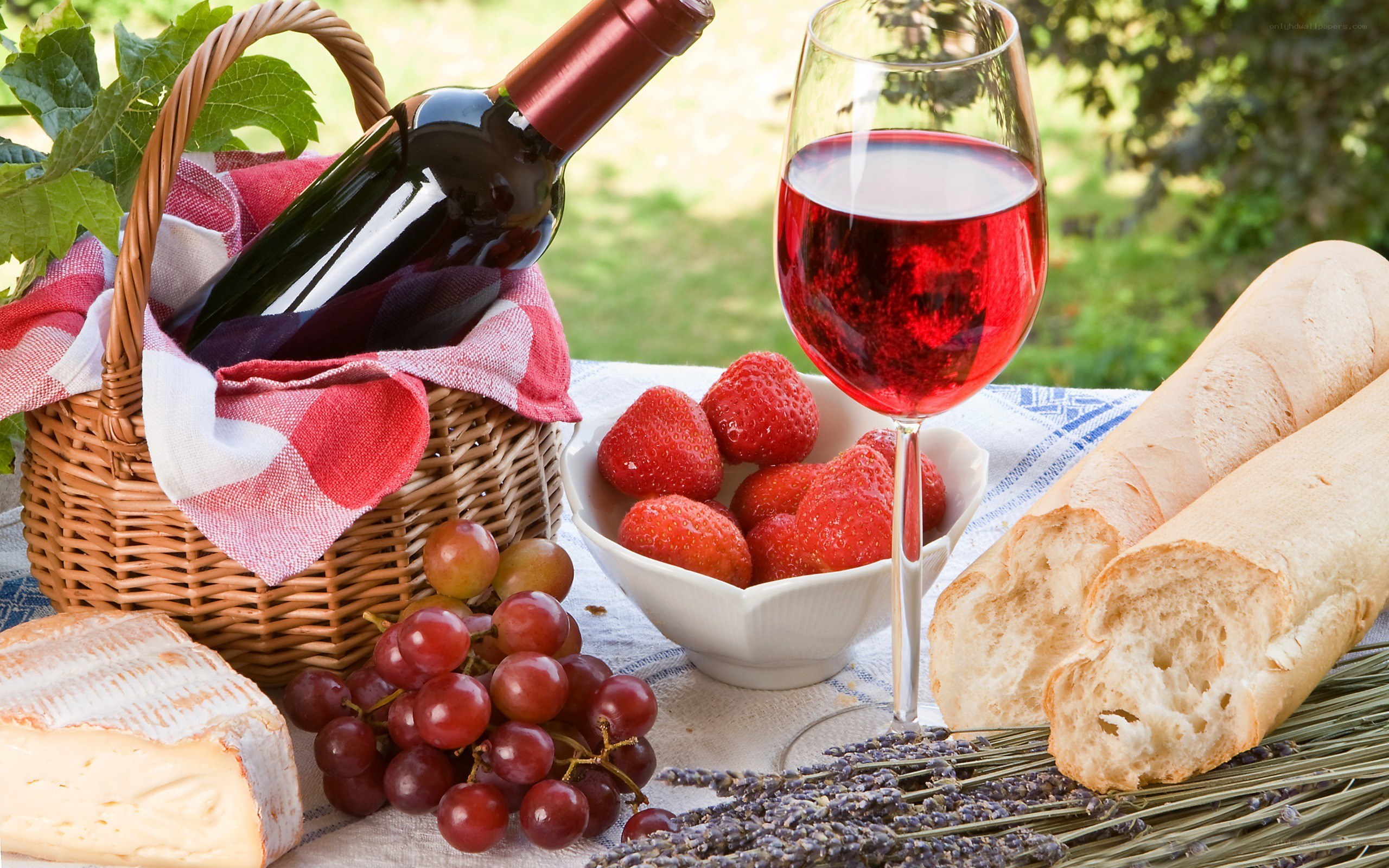 Picnic with wine and fruit