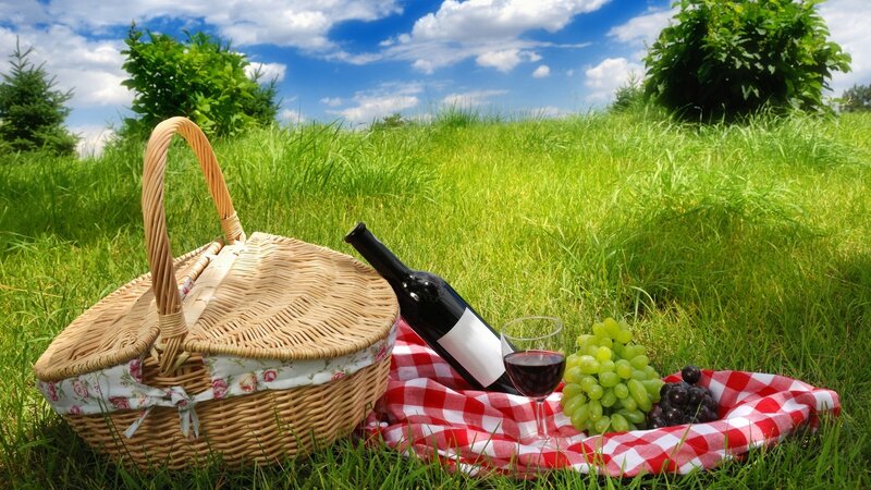 Picnic with wine and grapes