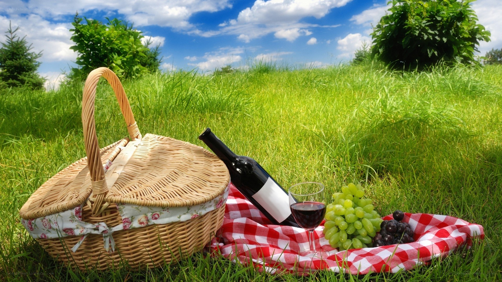 Picnic with wine and grapes