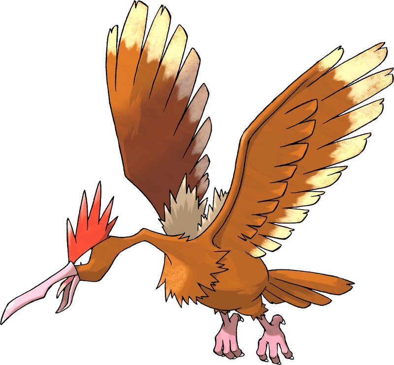 Pidgeot Bird