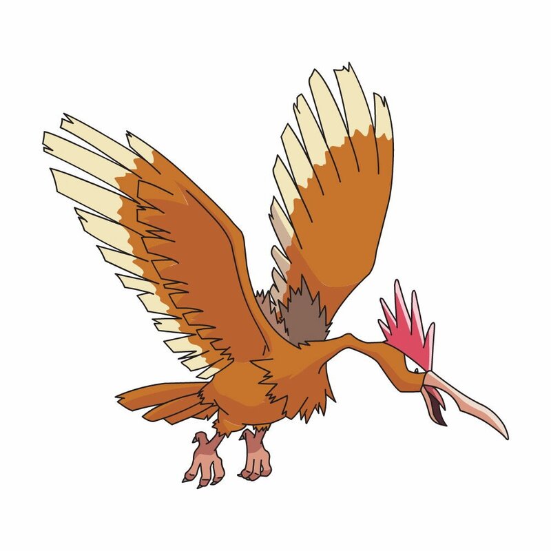 Pidgeot flying bird
