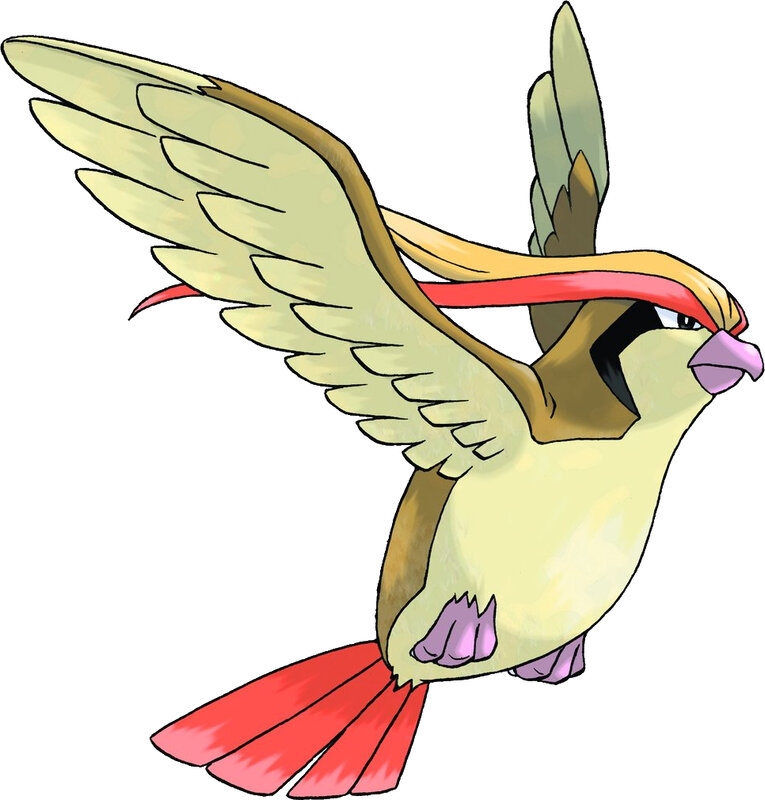 Pidgeot flying illustration