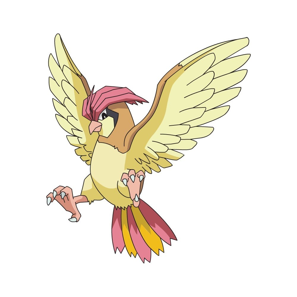 Pidgeot flying in mid-air