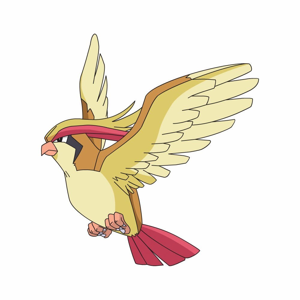 Pidgeot flying in mid-air