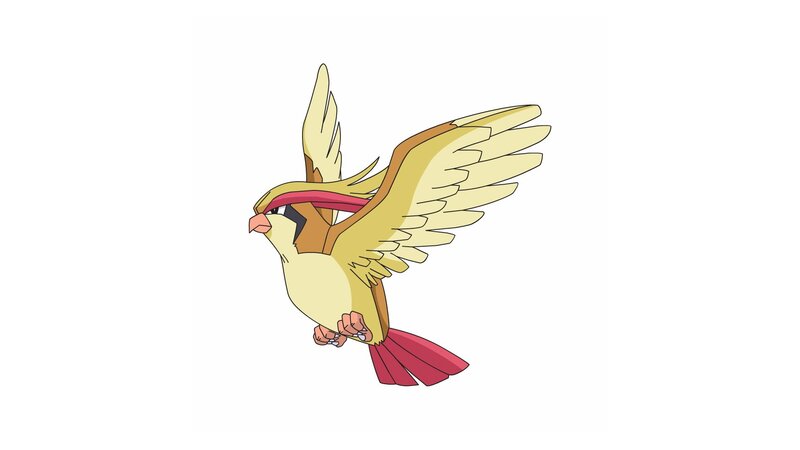 Pidgeot Flying